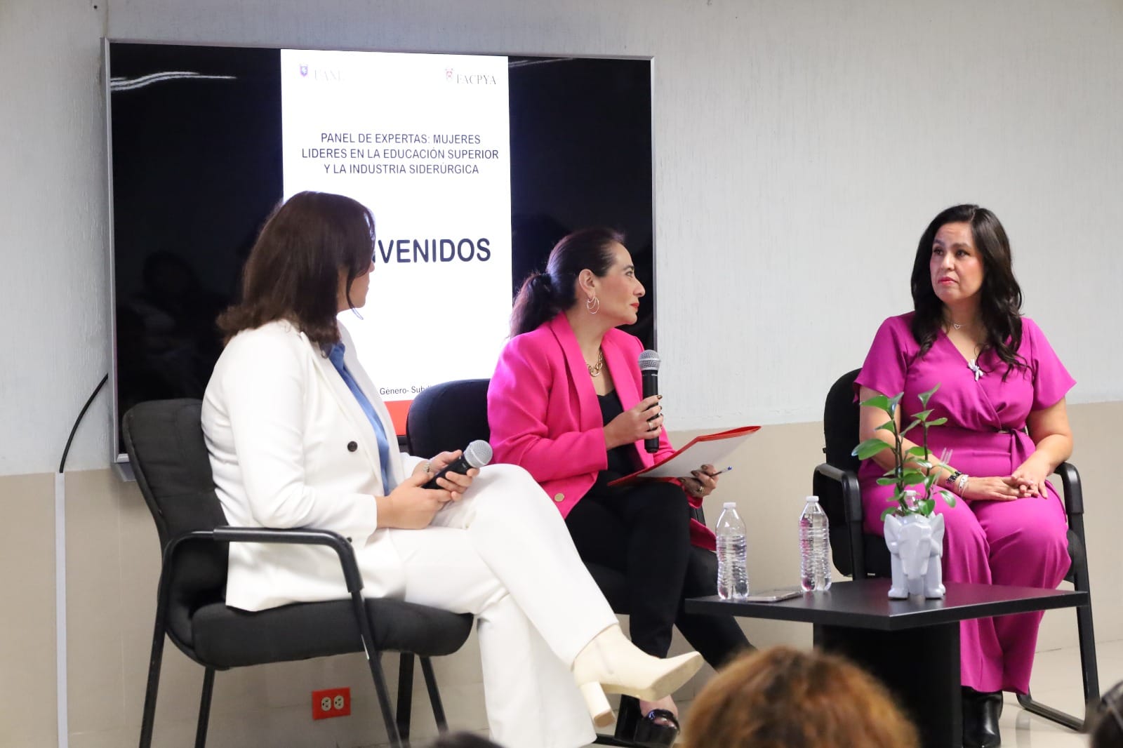 Panel de expertas: Mujeres líderes en la educación superior y la industria siderúrgica